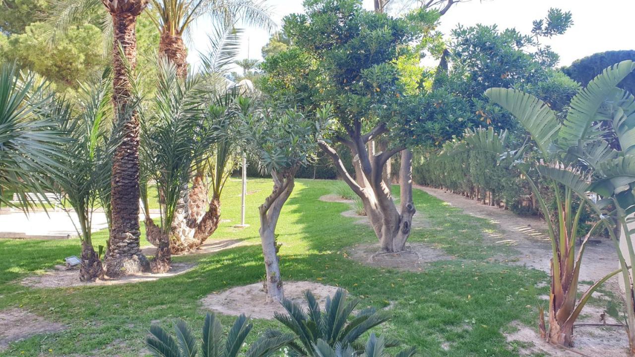 Relax Frente Al Mar De Alicante Apartment Екстериор снимка